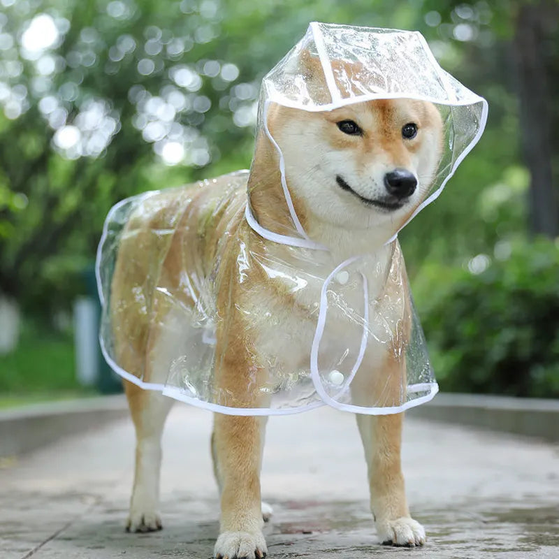 Vêtements pour chiens